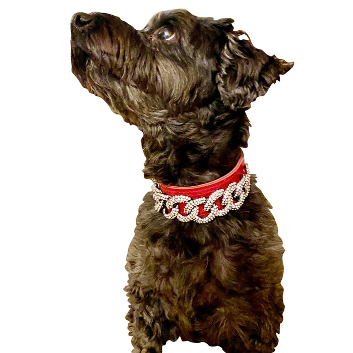 Tito's Dog Collar